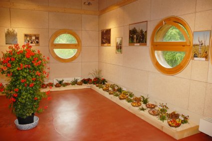 Image Image