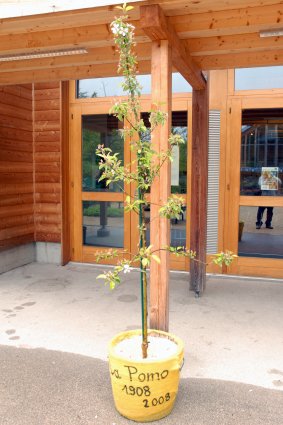 Image Image