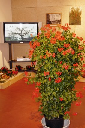 Image Image